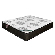 [特價]ASSARI-亞當護脊硬式乳膠獨立筒床墊(雙大6尺)