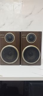 山水sansui書架式喇叭可掛牆