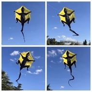 [NEW] Penghantaran Percuma Layang-layang Gecko untuk Dewasa Layang-layang Naga Angin Profesional Lay