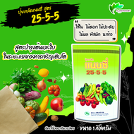 🪴ปุ๋ยเกล็ด แนนซี่ สูตร 25-5-5 บรรจุ1 กิโลกรัม ✅✅ ปุ๋ยเขียว สูตรเสริมสร้างการเจริญเติบโต  ปุ๋ยเกร็ด ป