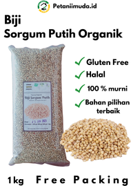 Biji Sorgum Putih Organik kemasan 1 kg/Biji Sorgum Putih Organik kemasan 250 gram/Biji Sorgum Putih kemasan 100 gram/Biji Sorgum Putih Organik 500 gram/Beras Sorgum Putih Organik kemasan 1 kg/Benih Biji Sorgum Putih Organik kemasan 1 kg