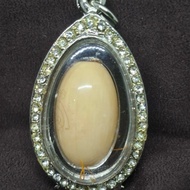 LP Pern Ivory Beigel Amulet 龙婆本 象牙 符管 佛牌