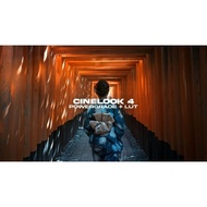 [Davinci Resolve] Nomadic George – CineLook 4 DaVinci Resolve PowerGrade + LUT (2023)