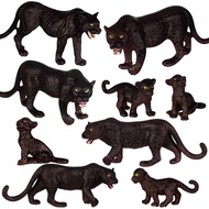 10 Pcs Forest Animal Figures Panther Figures Koala Toys Figures Realistic Wildlife Jungle Zoo Model 