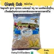 ซังข้าวโพด Giant Cob รองกรง สำหรับ นก หนู กระต่าย แกสบี้ แฮมสเตอร์ เม่น เฟอเร็ท(1 KG.)