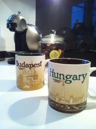絕版匈牙利星巴克城市匈牙利國家杯馬克杯Hungary Budapest Starbucks Icon City Mug