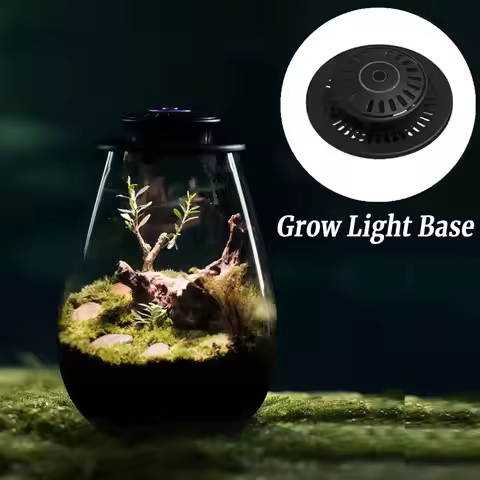 Fern Moss Micro-Landscape Grow Light with Timer LED Full Spectrum Growing Lamp 6500K for Indoor Plan