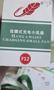 共田掛腰風扇F12