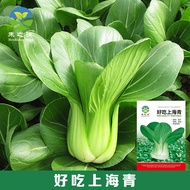 Manufacturer Shanghai Green Rapeseeds Seeds Vegetable Seeds Daquan Chicken Hair Vegetables Four Seas