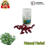 K-SAUDA VCO VIRGIN COCONUT OIL NATURAL // SAUDA VCO / K- SAUDA VCO ( VIRGIN COCONUT OIL