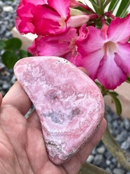 หิน โรโดโครไซต์ ( Rhodochrocsite ) ขนาด 197 กรัม 🌸✨✨✨✨✨✨✨✨✨✨✨✨ทรงฟรีฟอร์ม ขัดเงา สีชมพูสดมากๆ ลวดลายธรรมชาติสวยทั้งชิ้น สำหรับตั้งโชว์บนโต๊ะ