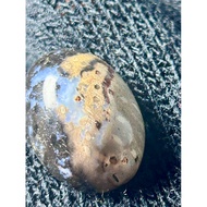 Batu Permata Fossil Nibong Berkristal Untuk Dimaharkan (Rm60)
