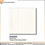 Homogenous Granite Tile Essenza Tevere White Glossy 60X60