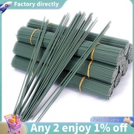 Iron Wire Sticks(12 Inch), 100Pcs 14 Gauge Set for DIY Floral Crafts Projects