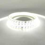 ไฟสายยาง ไฟเส้นตกแต่งห้อง 2835 180D 12MM 220V สีขาว สีวอร์ม สีน้ำเงิน 5M 10M 15M 20M 25M 30M 40M 50M