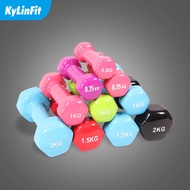 2 pounds dumbbell quantity large rubber cast iron ladies factory hexagonal dumbbell dip dumbbell pla