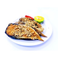 PEKASAM IKAN PATIN, PEKASAM IKAN SUNGAI, PEKASAM LAMPAM