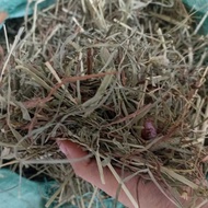 Timothy Hay 2nd Cut 3 kg - Hay & Harmony