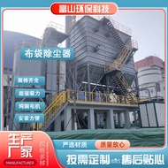 Single Machine Cloth Bag Dust Collector Pulse Collector Equipment Casting Biological Boiler Collecto