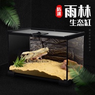 Rainforest Tank Glass Reptile Breeding Box Lizard Enclosure Ecological Tank Horned Frog Spider Tank 