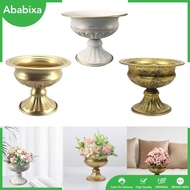 [Ababixa] Flower Pot, Delicate Planter, Flower Holder, Plant Container, Flower Pot, Decorative Vase for Wedding, Dried Flowers, Decorative