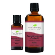 Plant Therapy Frankincense Carteri Essential Oil - Ecovera