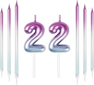 22th Birthday Number Candles Decorations Colourful 22 Candles with Pink Purple Long Candles Cake Can
