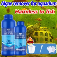 Harmless to fish algae remover for aquarium 550ML algae remover anti algae for aquarium