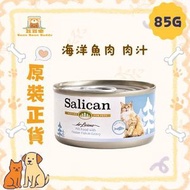 Salican 貓罐頭 貓濕糧 挪威森林 海洋魚肉 肉汁 85g (105) (2890)