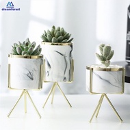 DF Marble Ceramic Flower Succulent Pot with Metal Rack Stand Nordic Plant Display Holder Home Decor