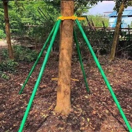 Galvanized Steel Pipe Support Rod Tree Support Frame Sapling Anti-falling Tree Garden Windproof Fixe