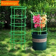 【Forever】 Plant Support Pile Half Round Climbing Vines Stake Bonsai Fixing Rod Garden Plant Stake Ho