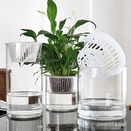 Hydroponic Flowerpot Plant Green Vase Tube Transparent Cylindrical Container Bottle Glass White Tank