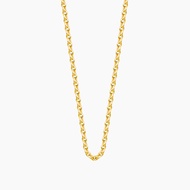 SK Jewellery 10K Yellow Gold Link Chain