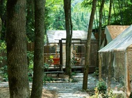 景德鎮樹園心舍民宿 (Jingdezhen Tree Heart House B&B- 景德镇树园心舍民宿)