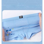 Boxer Brief For Kids BOY Outside 95%Cotton Comfort Underwear