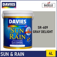 Davies Sun & Rain Acrylic Elastomeric Paint - Grays 4L