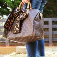 LV speedy 25