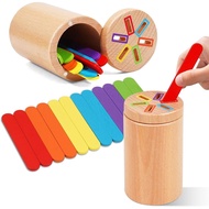 Montessori Toys for 1-3 Year Old, Fine Motor Skills Toys for 2-3 Year Old Wooden Color Sorting Stack