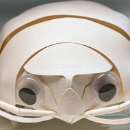 數碼 PaperMan陳文泰 大王具足蟲 紙模型