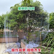 Fruit Tree Bird Netting Cover for Gardenia Cherry Orchard Greenhouse Fish Pond Nylon Protective Net 