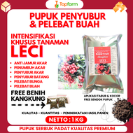 Pupuk Booster Buah Leci / Pupuk Pelebat Buah Leci / Pupuk Khusus Pohon Buah Leci / Obat Pelebat Buah