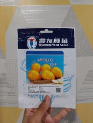 Benih Biji Melon APOLLO 10 gram KYS Golden APOLO Melon Premium Kuning Daging Putih Legit