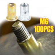 100pcs Rivet Nut M6 / Insert Rivet Nut / Rivet Nut Plant