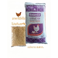 Balanced 924 Egg Chicken Food Pellet Type For Eggs Aged 16 Weeks And Up.