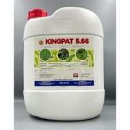 Kingpat 20 Liter Glufosinate-Ammonium 5.66% (Same As Buick 5.66 Rainpat 566 Tepat) Racun Rumpai Rump