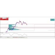 MT4 Trader Dale Flexible Volume Profile INDICATOR ONLY - USER & ID INCLUDED