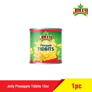 Jolly Pineapple Tidbits 432g