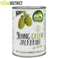 Nature’s Charm Young Green Jackfruit in Brine 565g