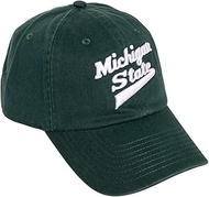 Desert Cactus Michigan State University Baseball Hat Spartans MSU Brimmed Embroirderd Hats Cap Adjus